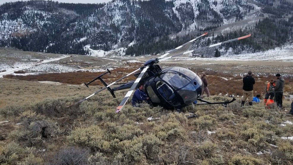 Alce derriba a helicóptero que intentaba capturarlo en Utah