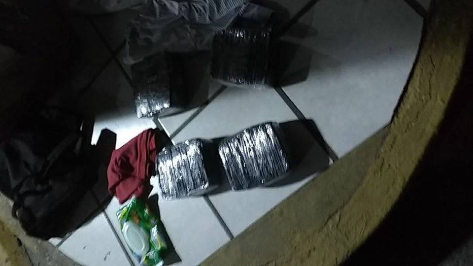 Aseguran casi 100 mil dólares en efectivo de autobús en Chiapas