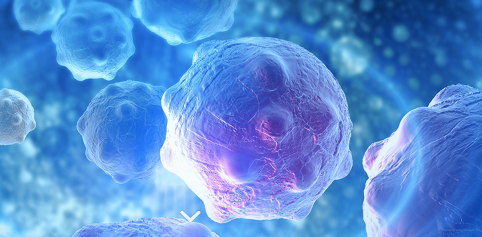 Virus del resfriado mejora y alarga la vida de pacientes con cáncer