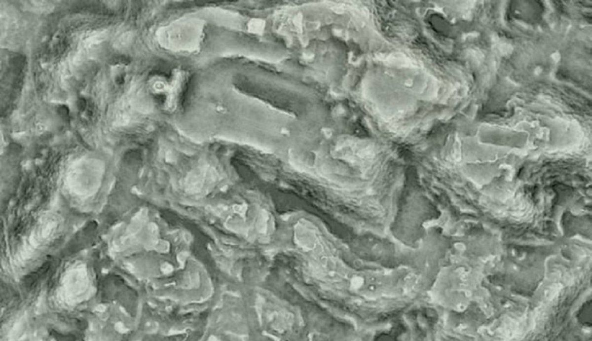 Descubren ciudad purépecha perdida en Michoacán