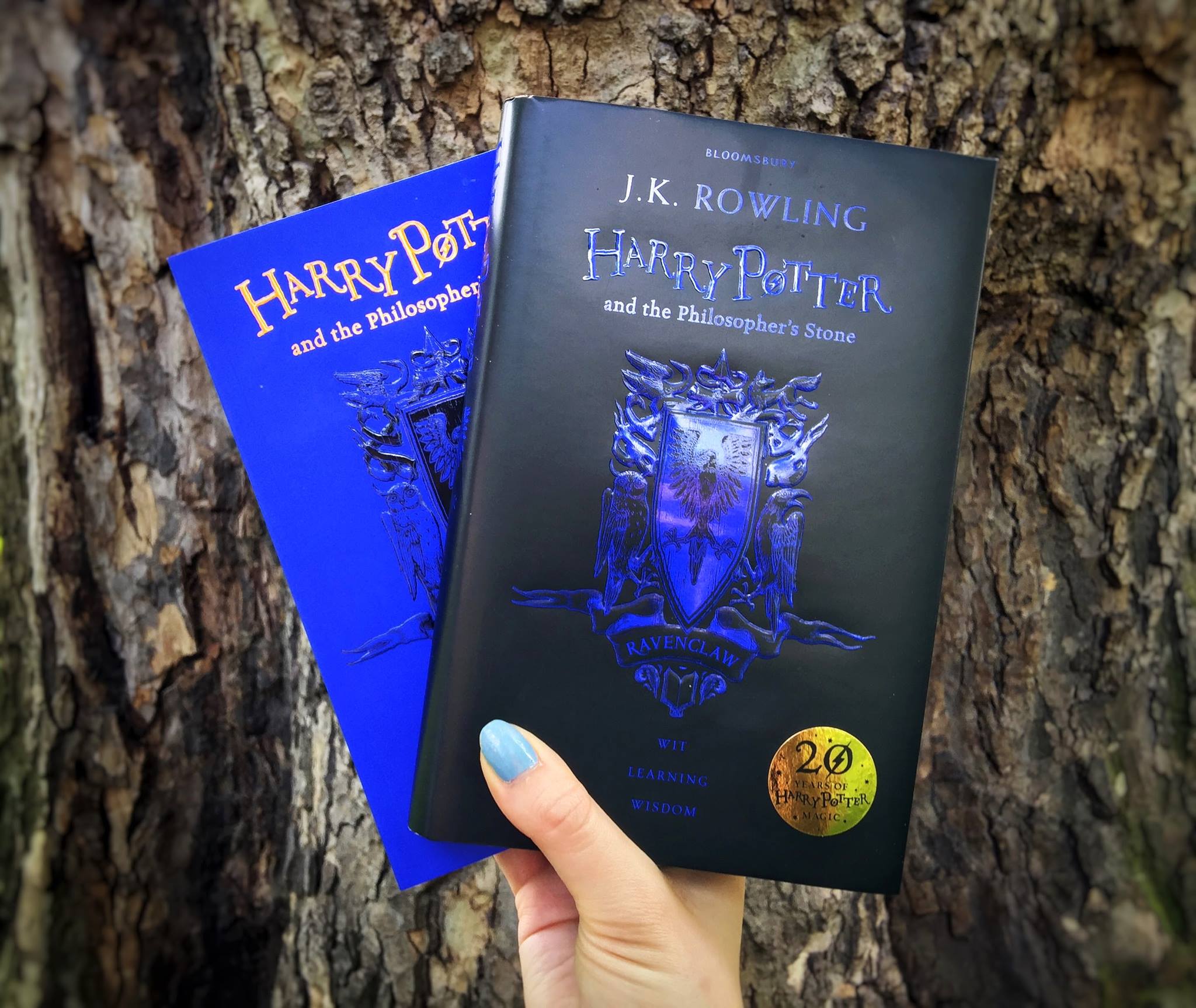 Supera Harry Potter los 500 millones de libros vendidos