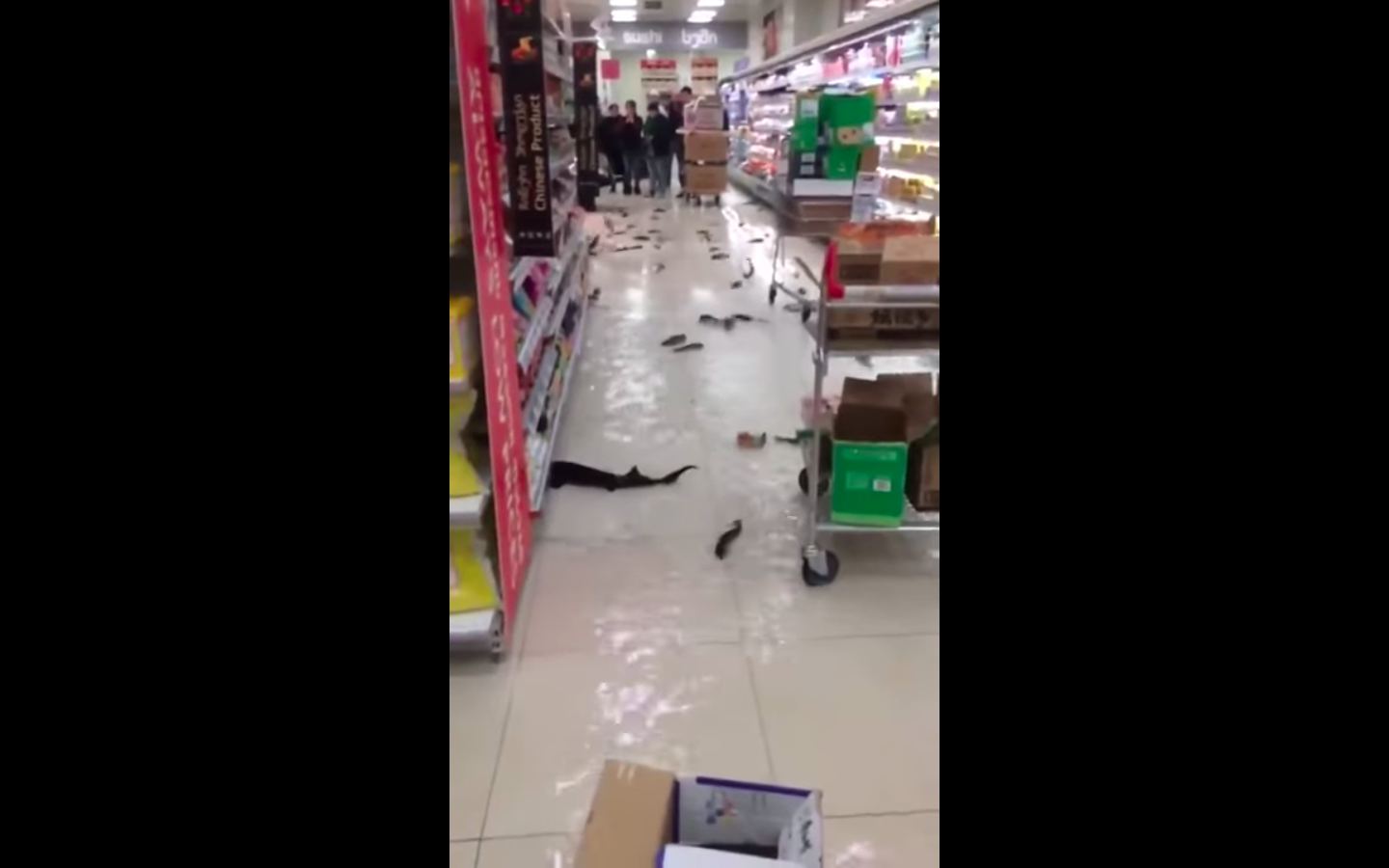 #VIDEO Se rompe pecera en supermercado de Georgia