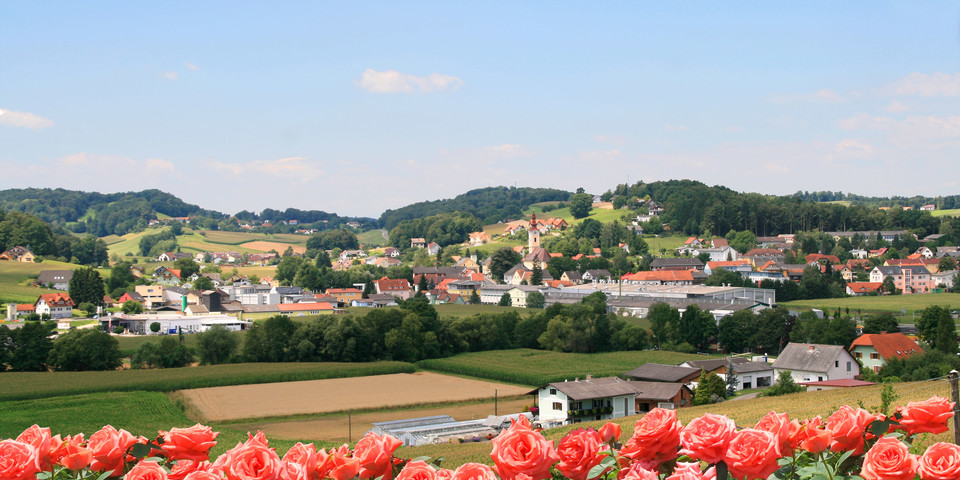 Hombre se suicida tras matar a su familia en Austria