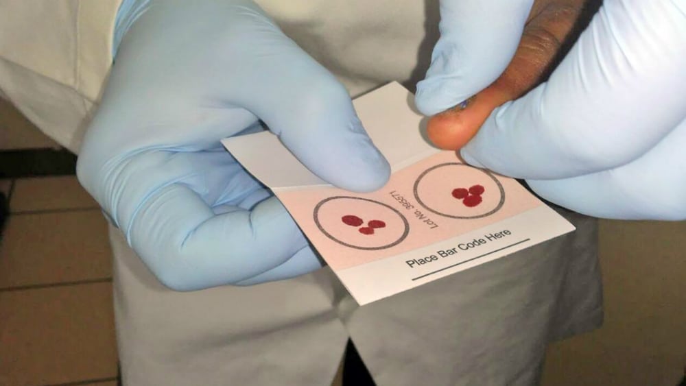 Recaban en Nayarit 489 muestras de ADN para buscar desaparecidos