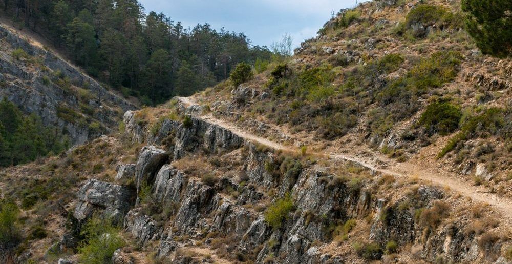 Asesinan a aspirante panista a diputado local en Puebla