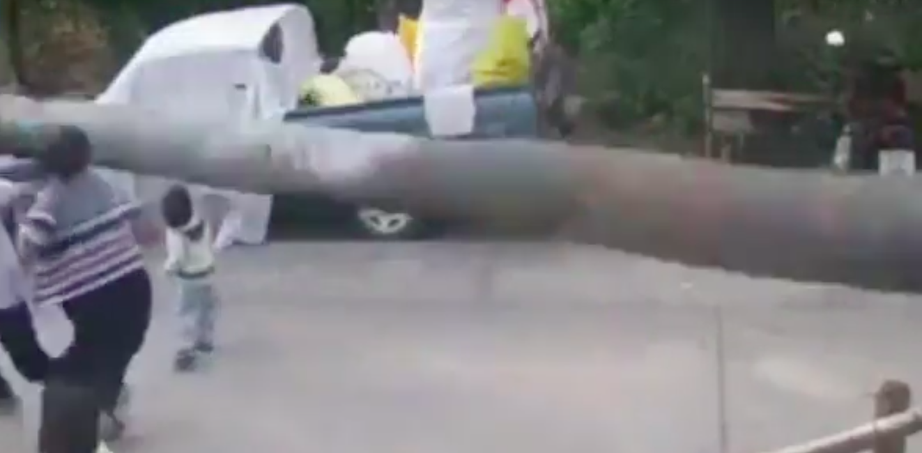 #Video Niño estuvo a centímetros de morir aplastado por palmera