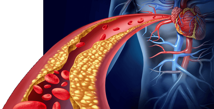 Estudio revela que colesterol podría no ser tan malo