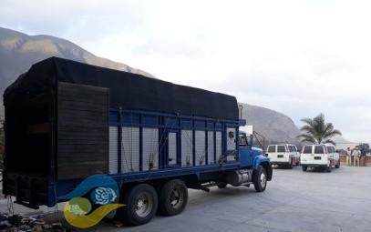 Rescatan a 103 centroamericanos en límites de Veracruz y Puebla