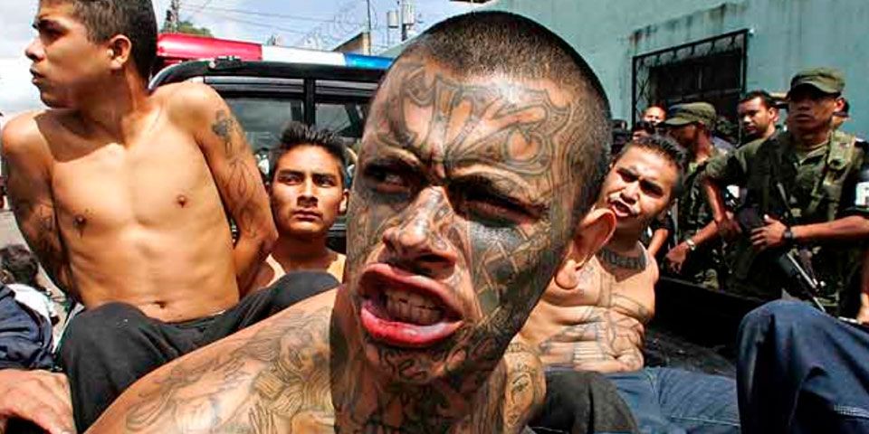 México tiene que ayudarnos más a detener a la Mara Salvatrucha: Trump