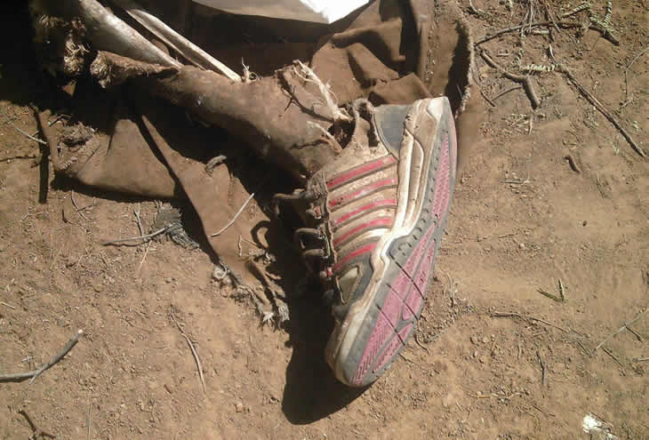 Crece el número de muertes en la frontera con Estados Unidos