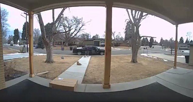#Video Familia capta el robo de su perro en Colorado
