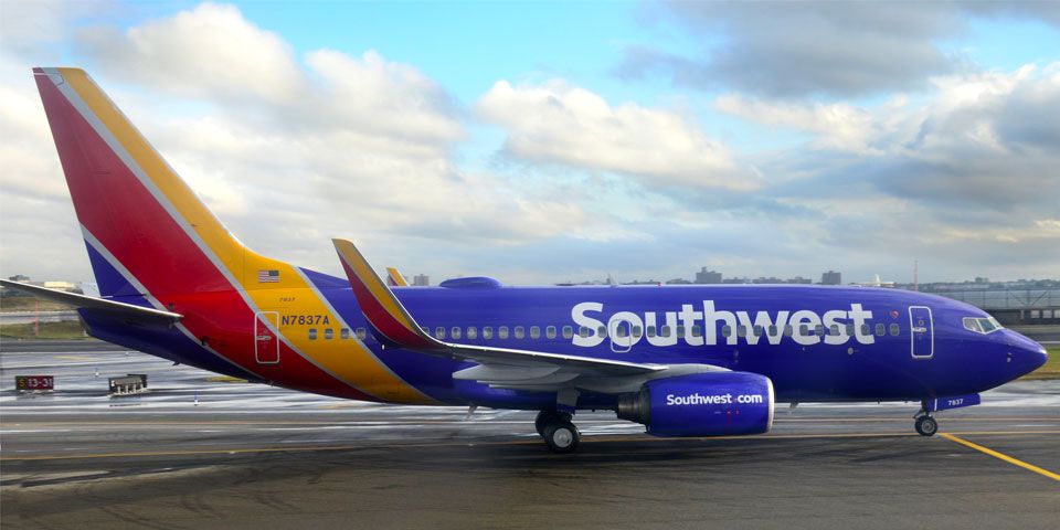 Perro de apoyo emocional ataca a niña en avión