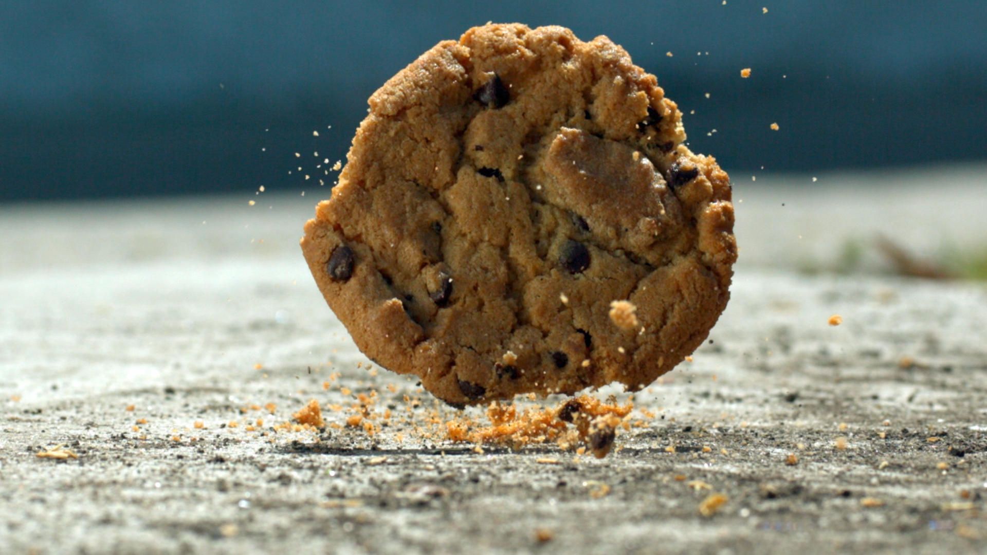 Expertos recomiendan no consumir alimentos que caen al suelo