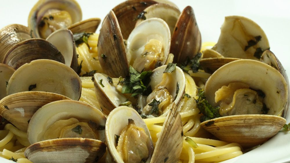 Amplían veda de moluscos en Guerrero