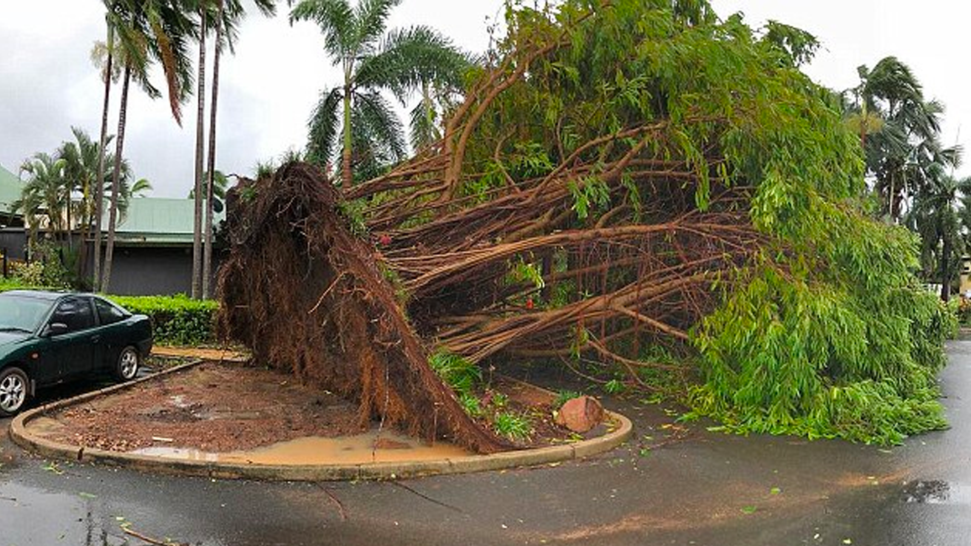 #Video Ciclón Marcus golpea norte de Australia