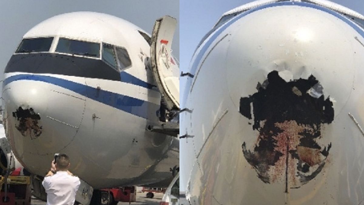 Avión termina con la nariz destrozada tras choque con ave