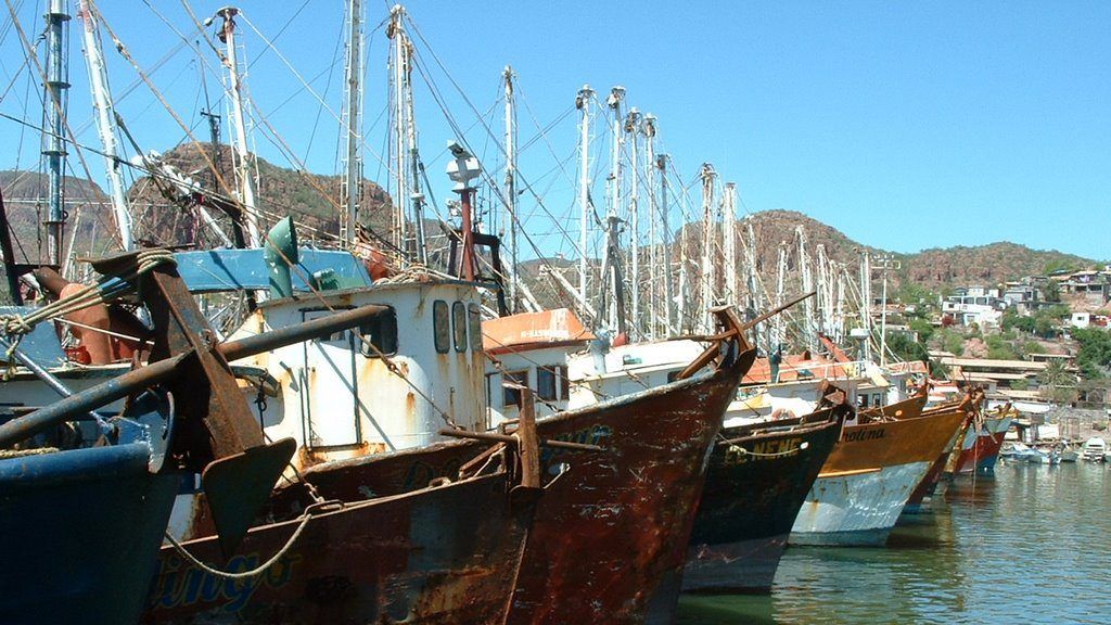 Se hunde barco camaronero en Tampico