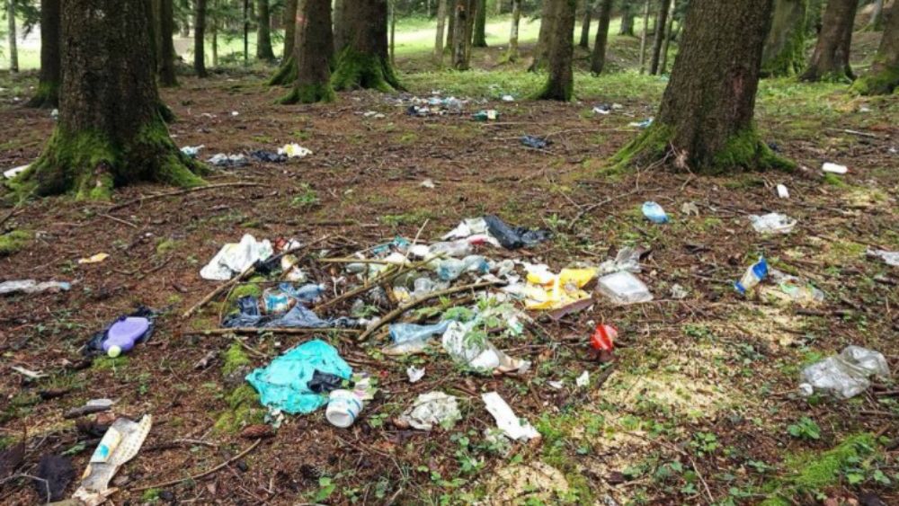 Basuraleza, palabra que busca crear conciencia respecto al medio ambiente