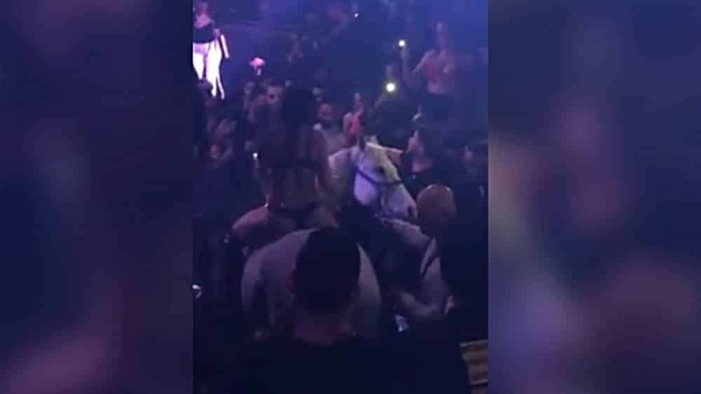 #VIDEO Exhiben a caballo en discoteca de Miami
