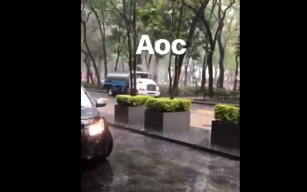 #Video Riegan plantas mientras llueve en la Ciudad de México