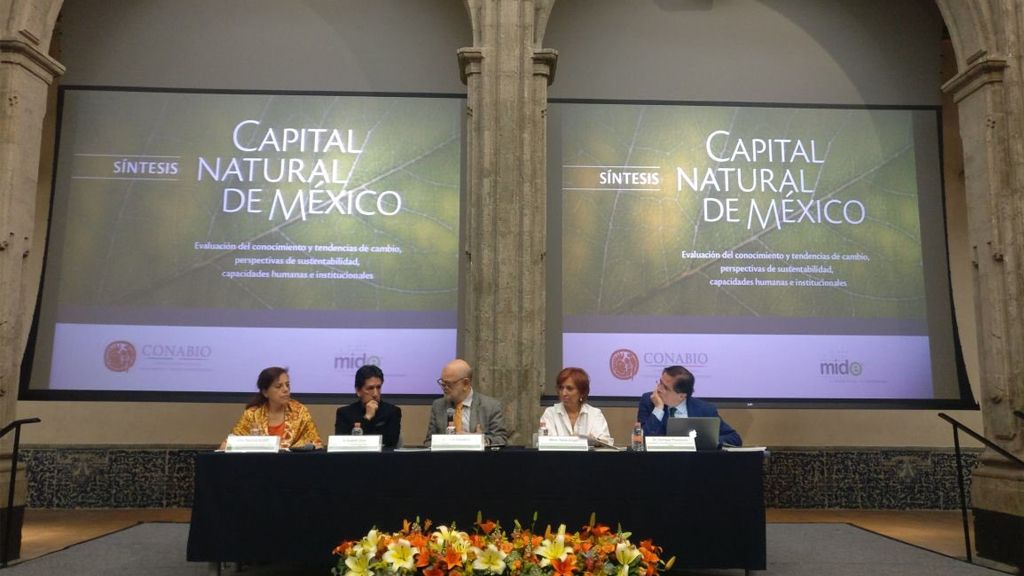Especies conocidas en México aumentó 20 por ciento en 10 años