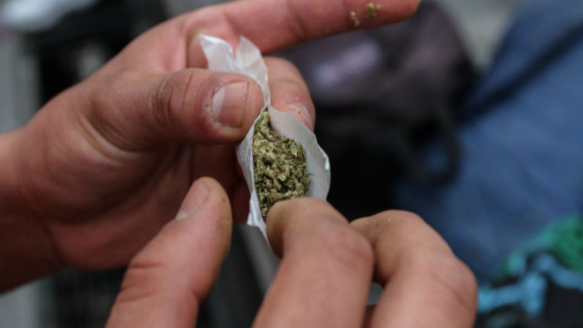 La mariguana es la droga más consumida en el país