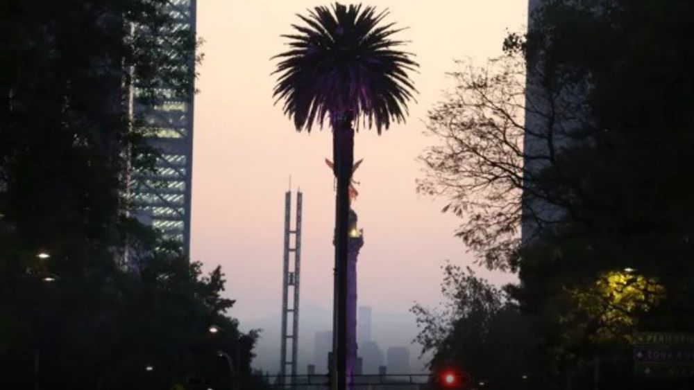 La historia de la Glorieta de la Palma en Paseo de la Reforma