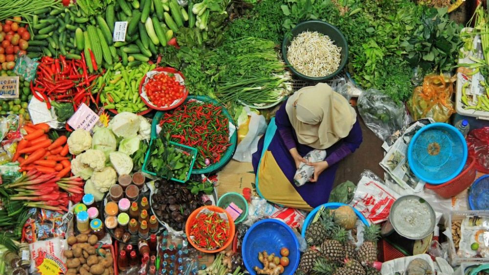 “Crece extrema pobreza y hambre en el mundo”: FAO