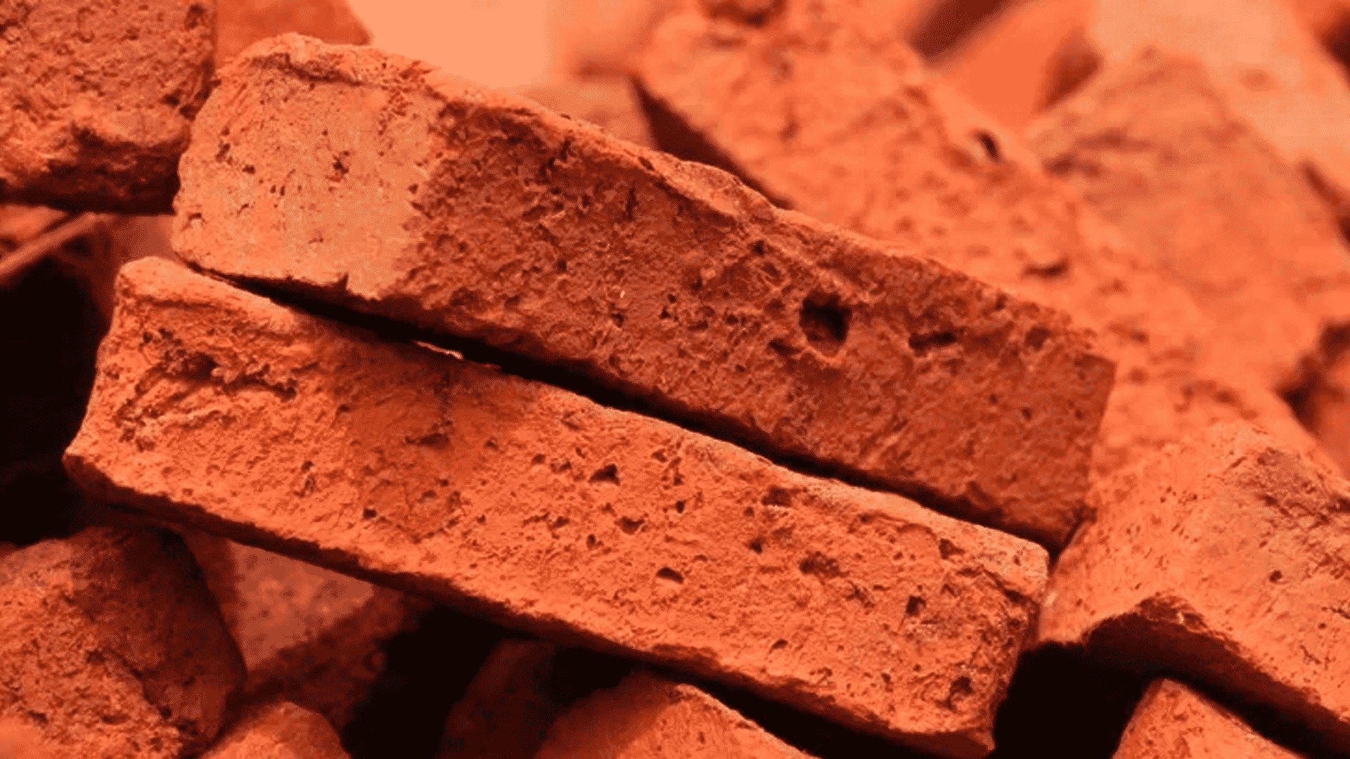 Estudiantes de Morelia diseñan ladrillo con baba de nopal