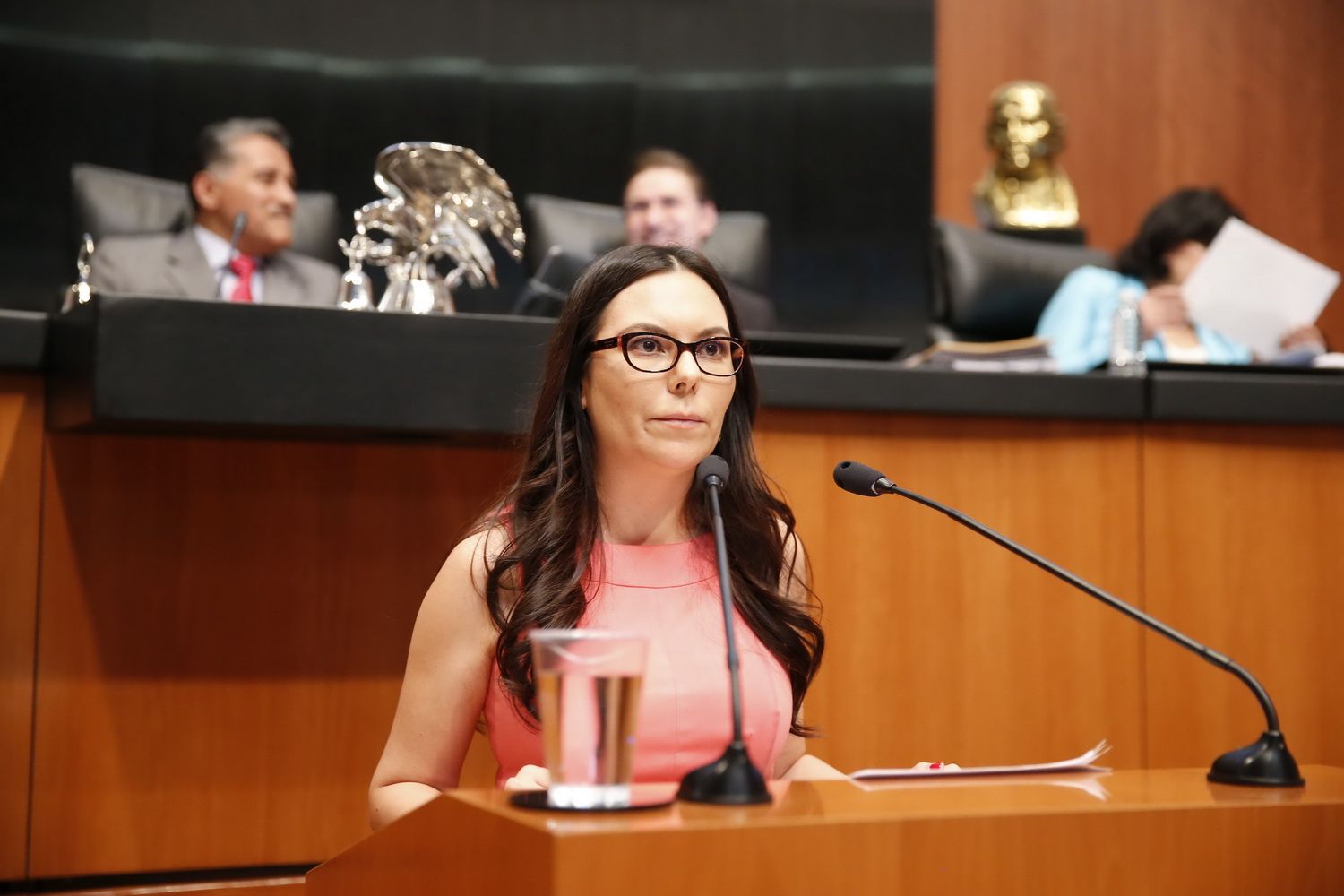 “Anaya viajó a Alemania y Chile con dinero de su bolsillo”: Laura Rojas