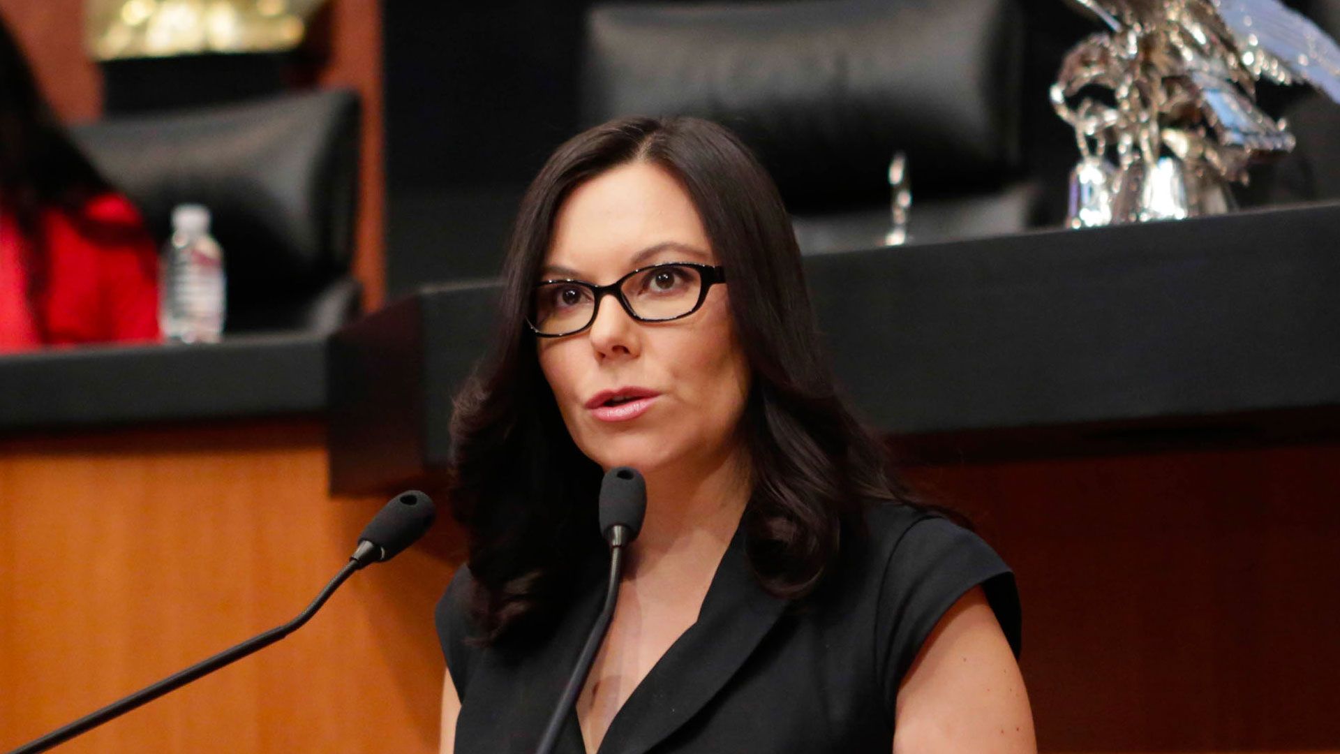 “Anaya viajó a Alemania y Chile con dinero de su bolsillo”: Laura Rojas