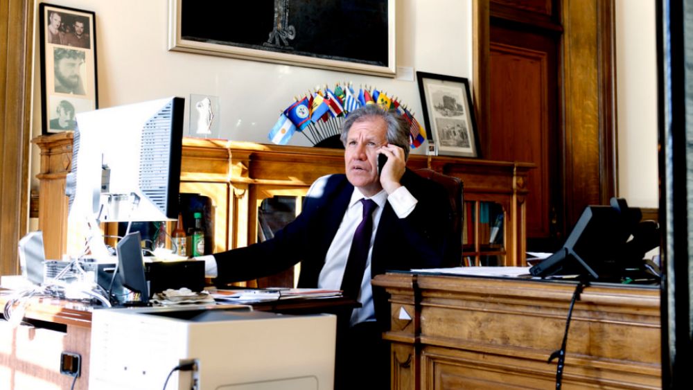 Preocupa a OEA violencia electoral en México