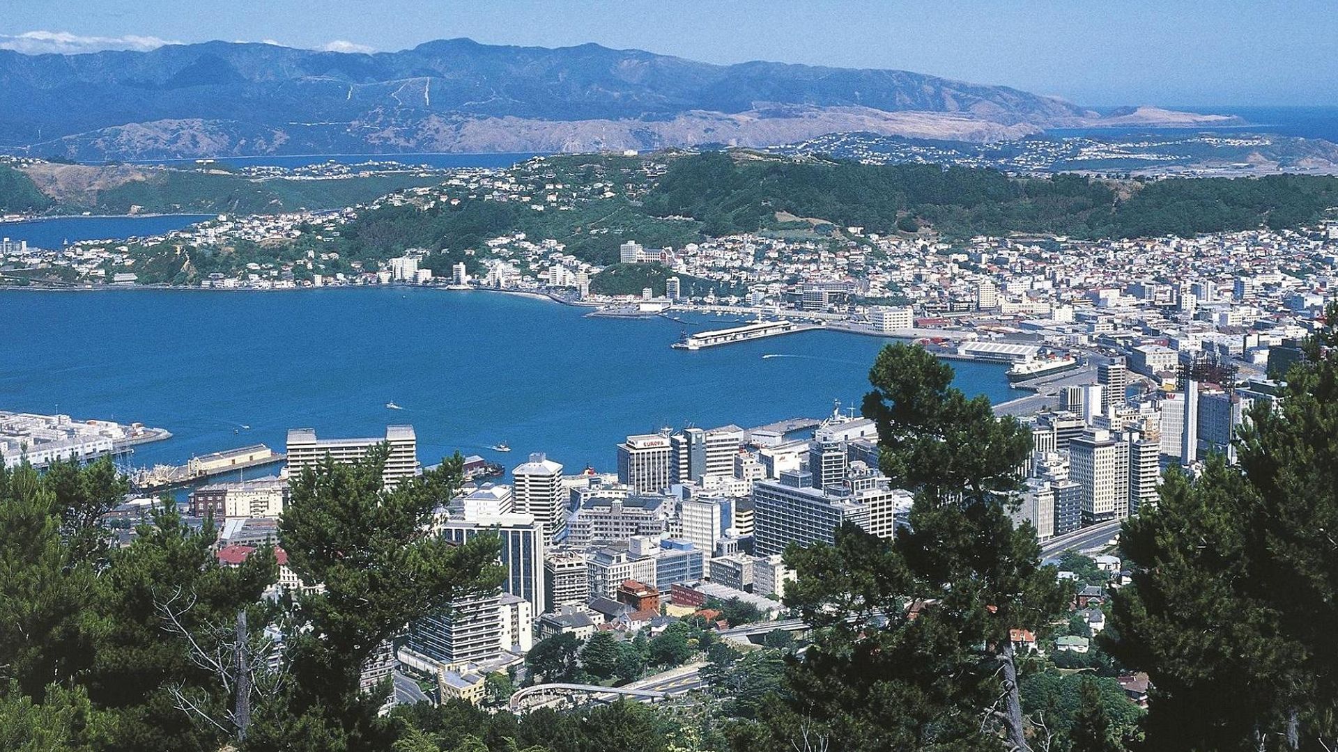 Nueva Zelanda ofrece trabajo por un año a 200 mexicanos