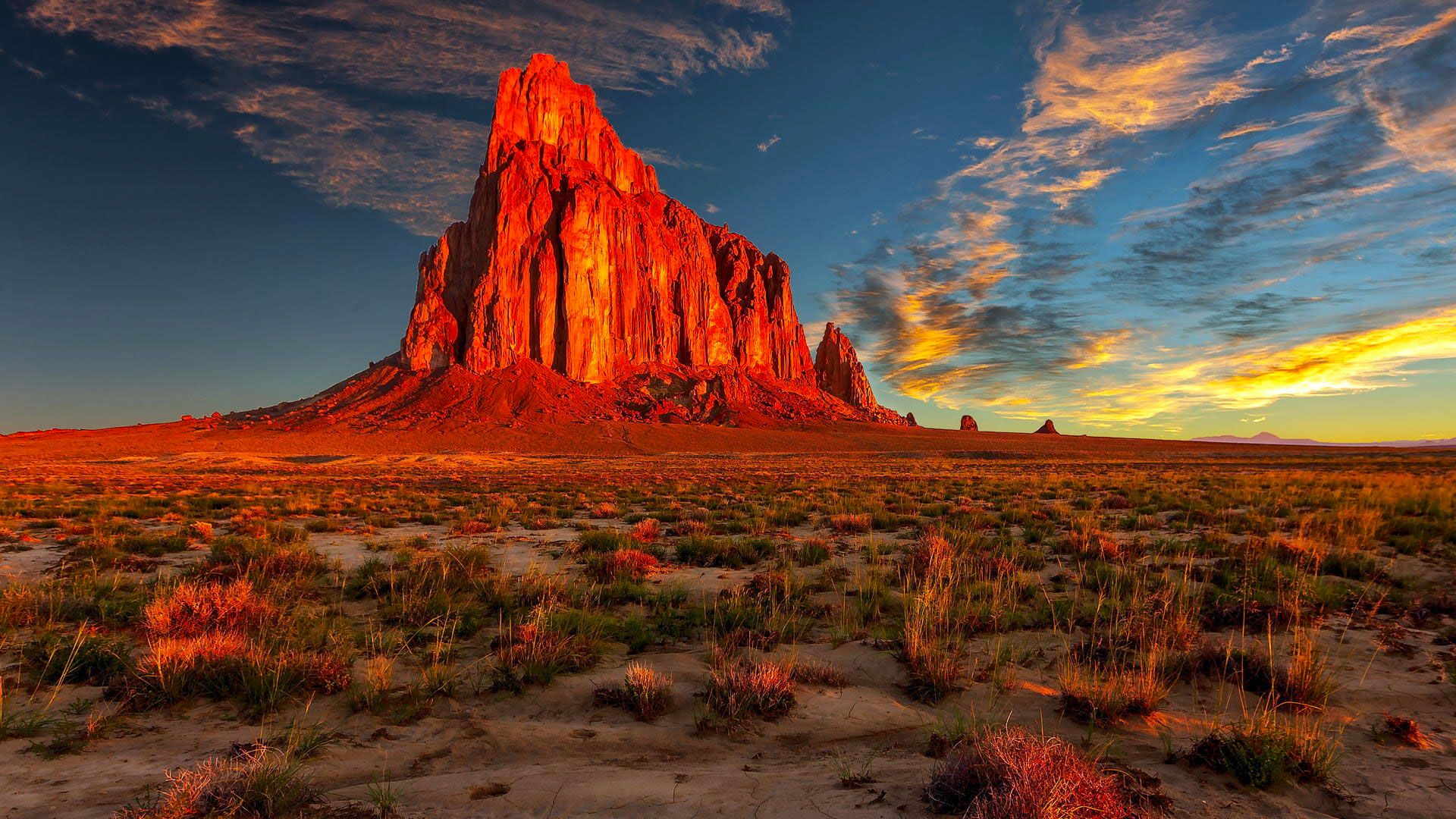 Nuevo México gana premio a la mejor placa de EE.UU.