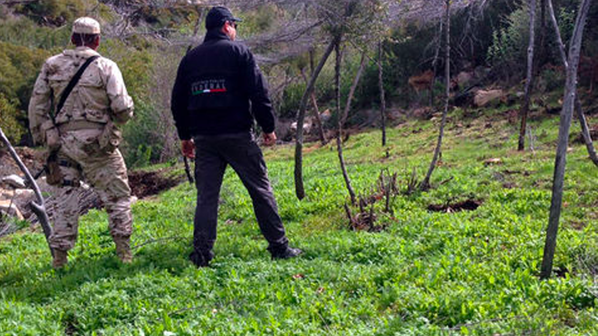 Enfrentamiento en plantío de amapola en Ensenada deja un muerto