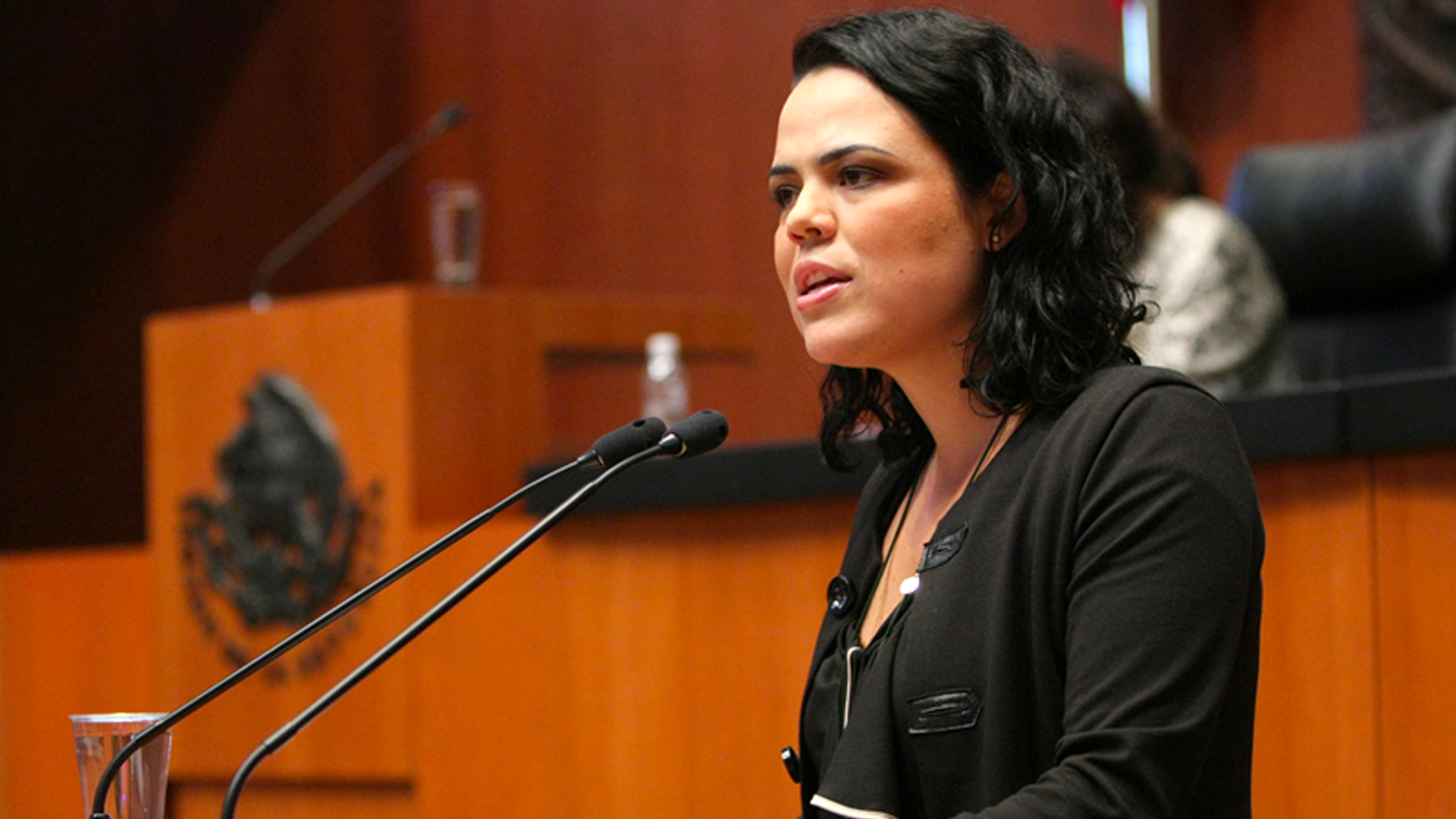 “Indignante que la PGR haya revelado video de Anaya”: senadora Gómez del Campo