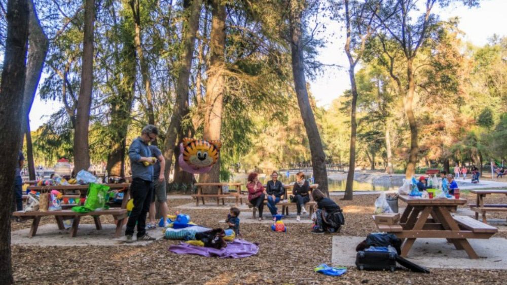 Inversión de mil 500 mdp para rehabilitar Tercera Sección de Chapultepec