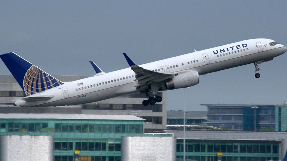 Muere perro por volar en compartimento tras insistencia de sobrecargo