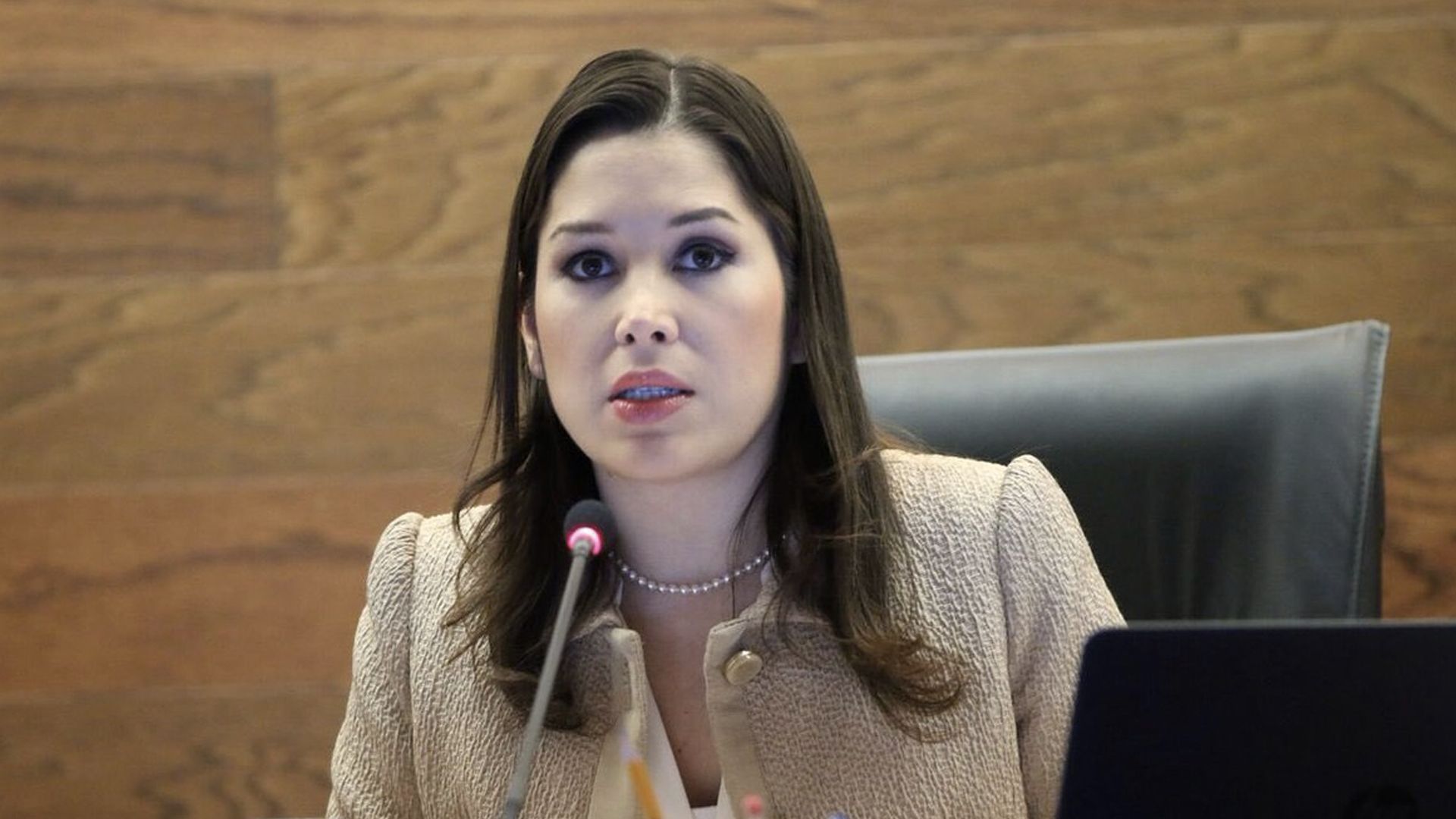 Ximena Puente renuncia al INAI para buscar diputación por el PRI