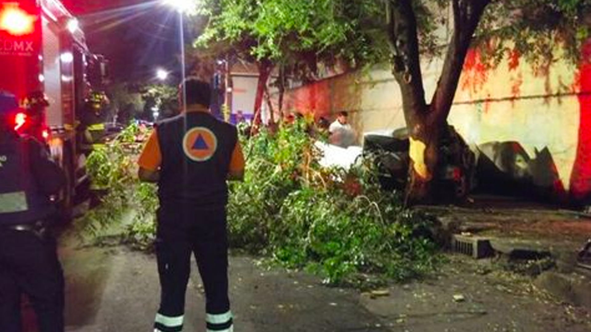 Conductor ebrio muere al chocar contra árbol en Azcapotzalco