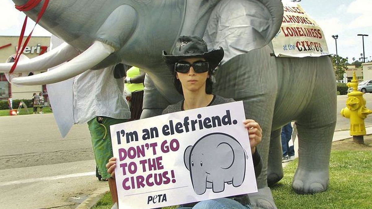 Atacante de YouTube odiaba a la empresa por “bloquear” su contenido