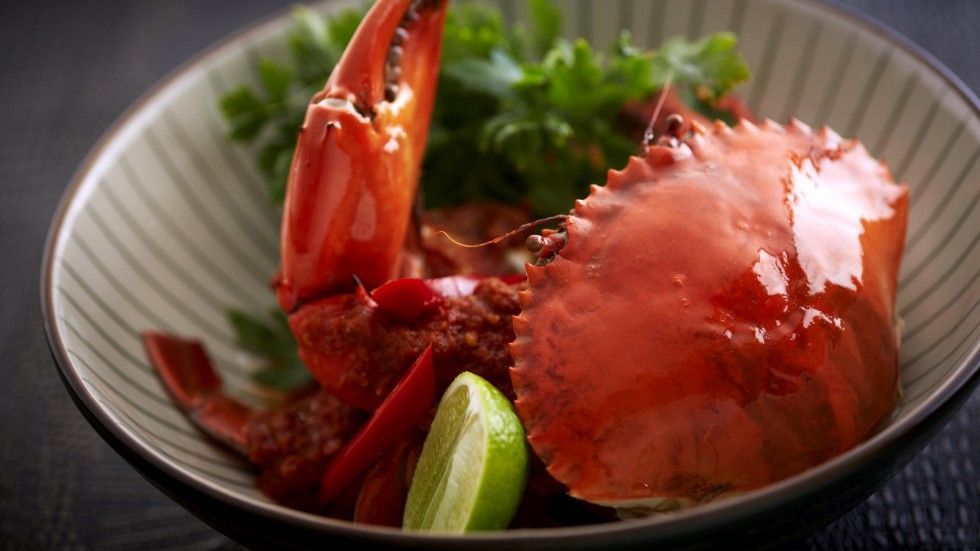 Recomiendan extremar precauciones en consumo de productos del mar