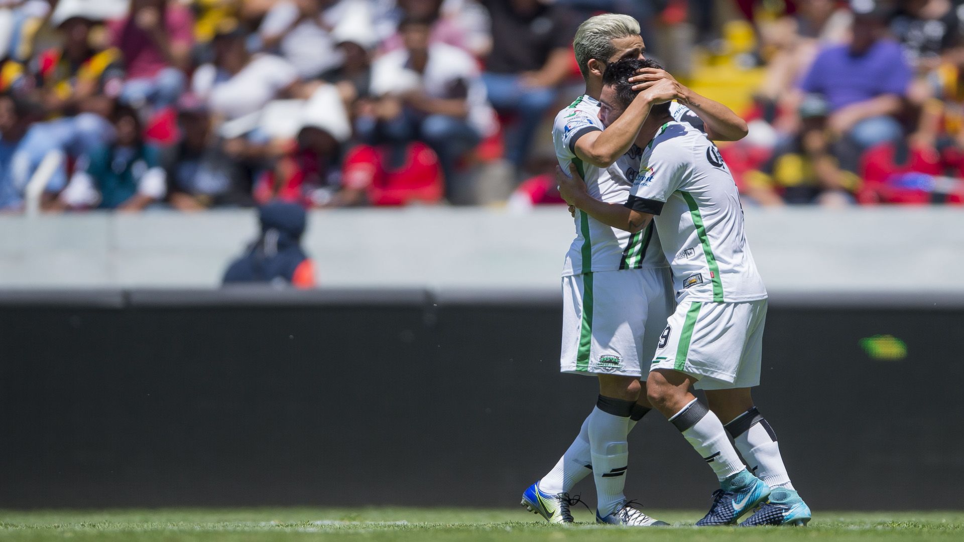 Cafetaleros de Tapachula, campeones del Ascenso MX Cafetaleros de Tapachula, campeones del Ascenso MX