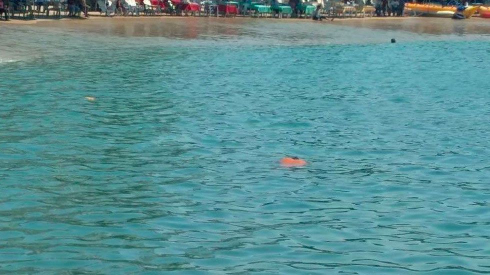 Narcomenudista ejecuta a rival e intenta escapar nadando en Acapulco