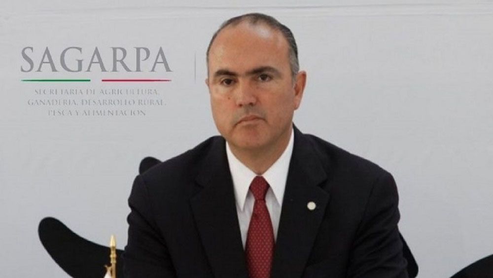 Escándalo de corrupción en Sagarpa durante administración de Calzada Escándalo de corrupción en Sagarpa durante administración de Calzada
