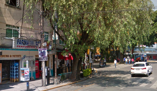 Asaltan en la Condesa a diplomático de Nueva Zelanda