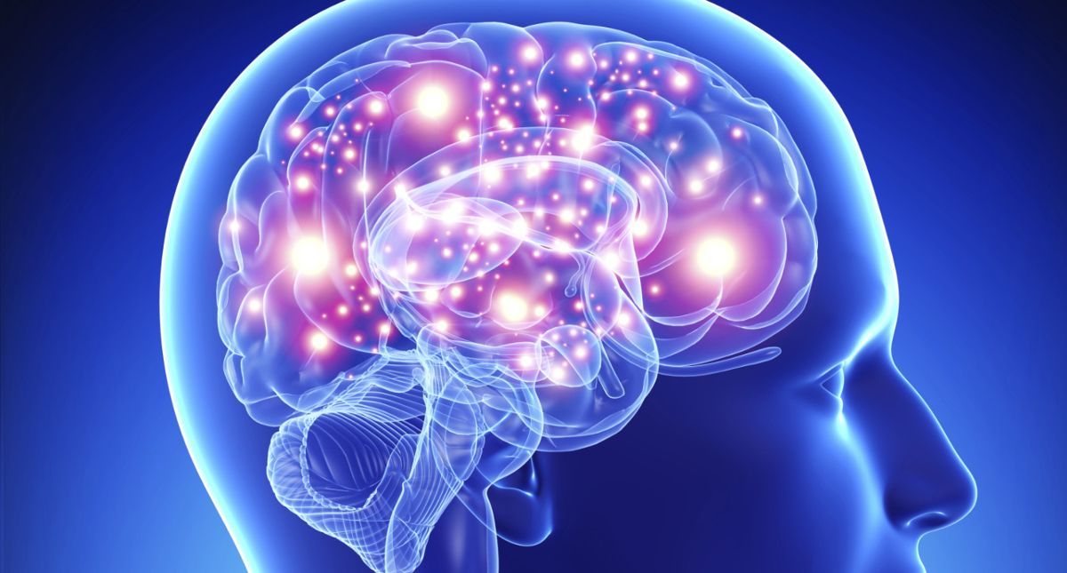 Se puede entrenar al cerebro para combatir la ansiedad y el estrés - cerebro-mente-cabeza