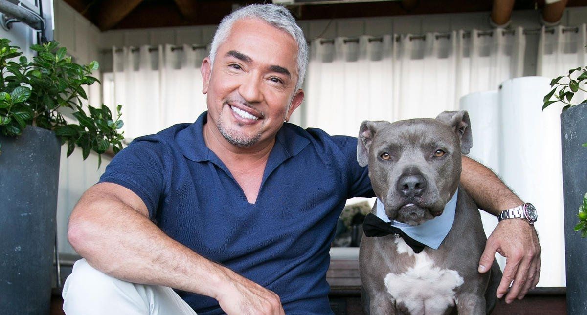 Intentan robar casa de César Millán, sus perros lo evitan