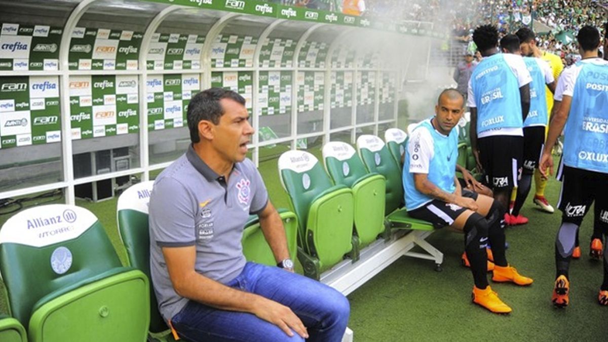 #Video Abejas crean colmena gigante en estadio del Palmeiras