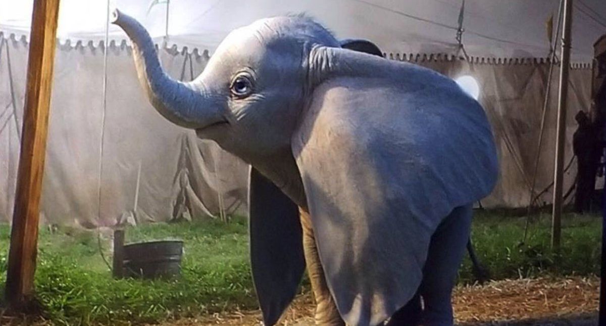 Así se ve el nuevo Dumbo de Tim Burton - dumbo-tim-burton